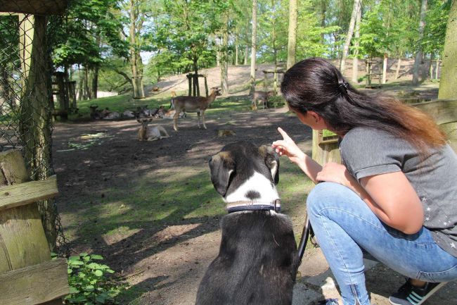 Frau mit Hund im Wildpark